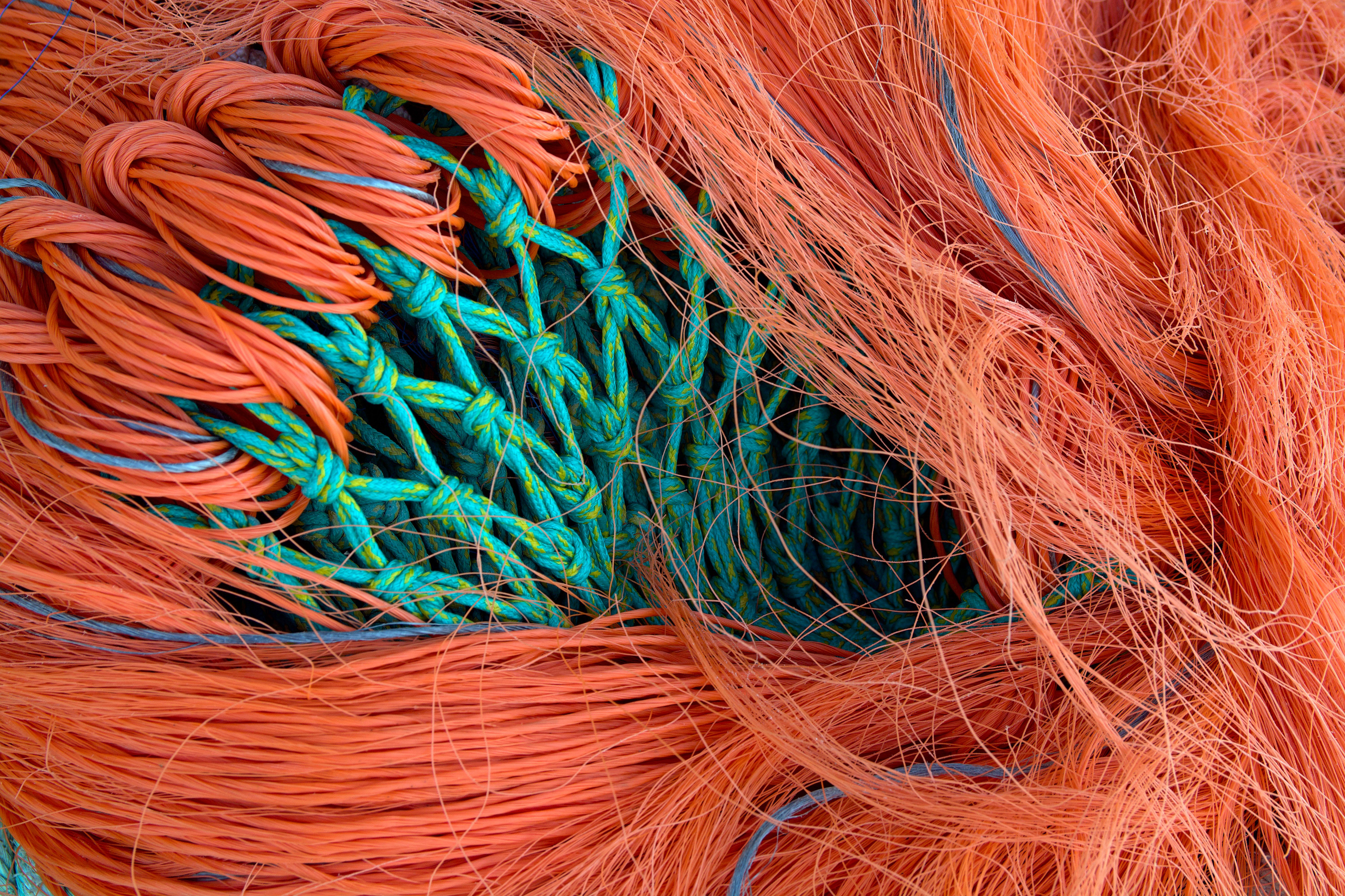 Yarn, synthetic; filament, monofilament (less than 67 decitex), of nylon or other polymides (not high tenacity or textured), single, untwisted or twisted 50 turns or less per metre, not for retail sale, not sewing thread