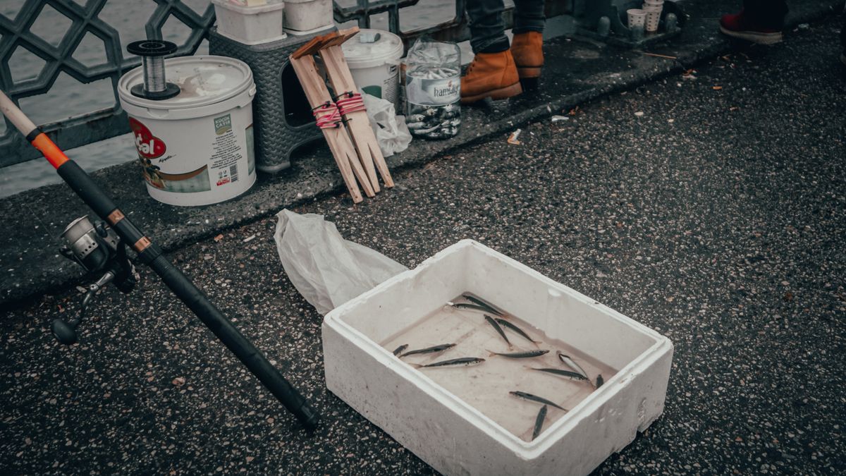 Various fishing equipment near plastic container with fish and fishing rod near faceless person on asphalt walkway near railing on embankment near river in daylight Stock Photo.