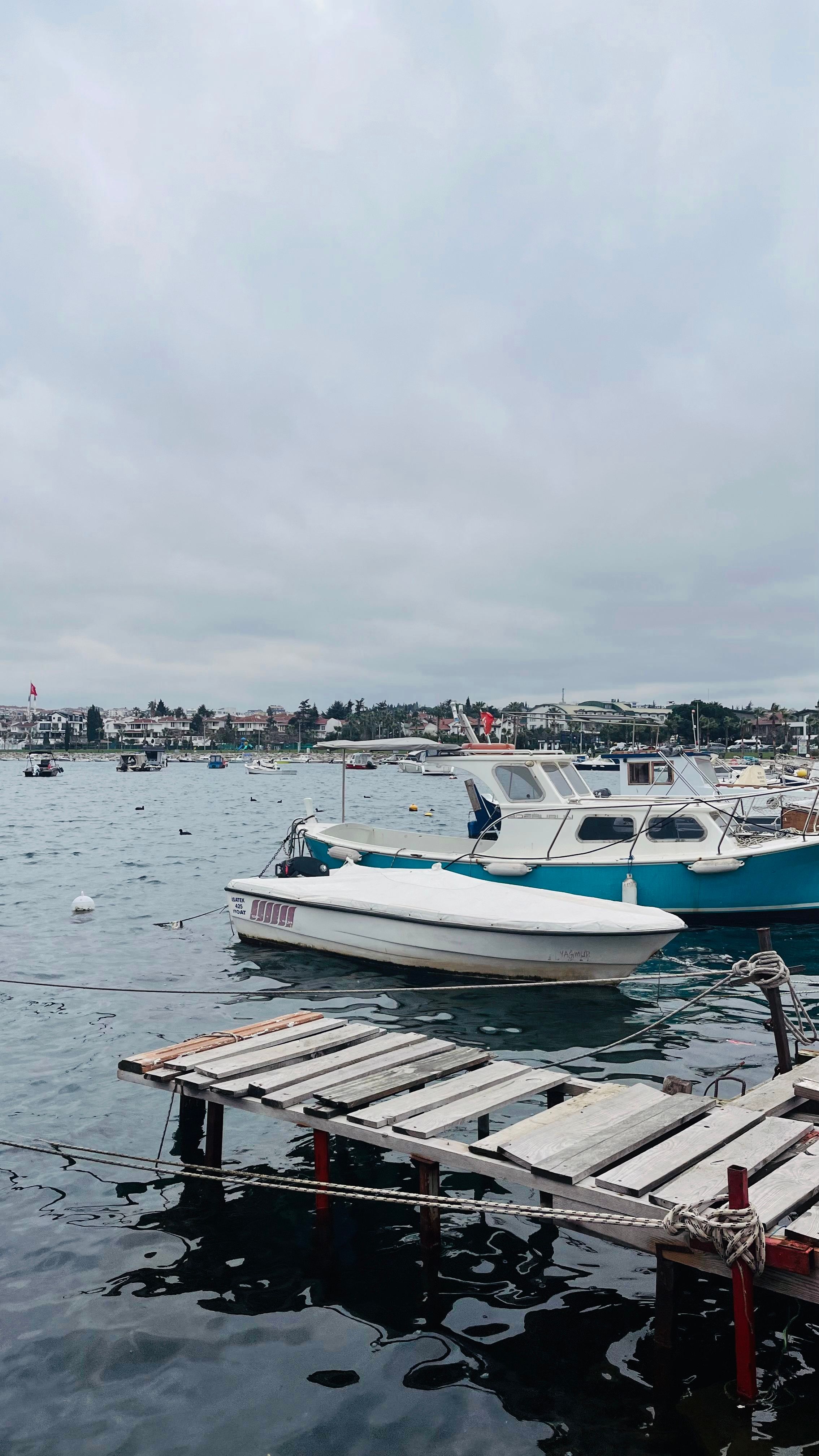 Peaceful marina scene with boats near a wooden dock under overcast skies.