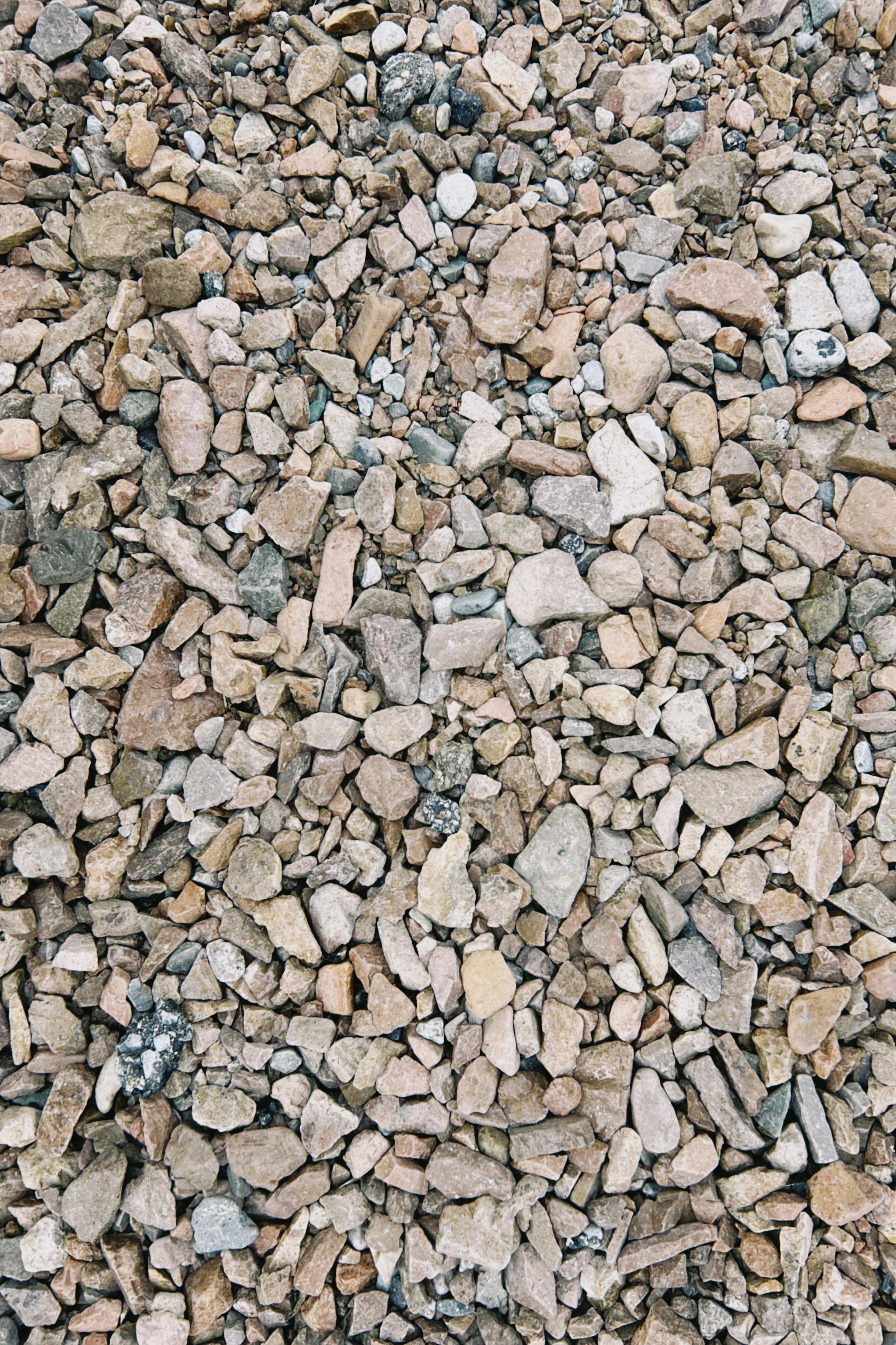 Kostnadsfria Närbild av blandade naturliga grusstenar som skapar en texturerad bakgrund som är idealisk för designbruk. Stock foto