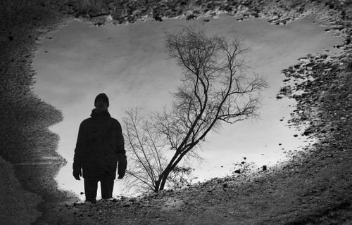 Free Artistic reflection of a person and tree in a water puddle. Stock Photo