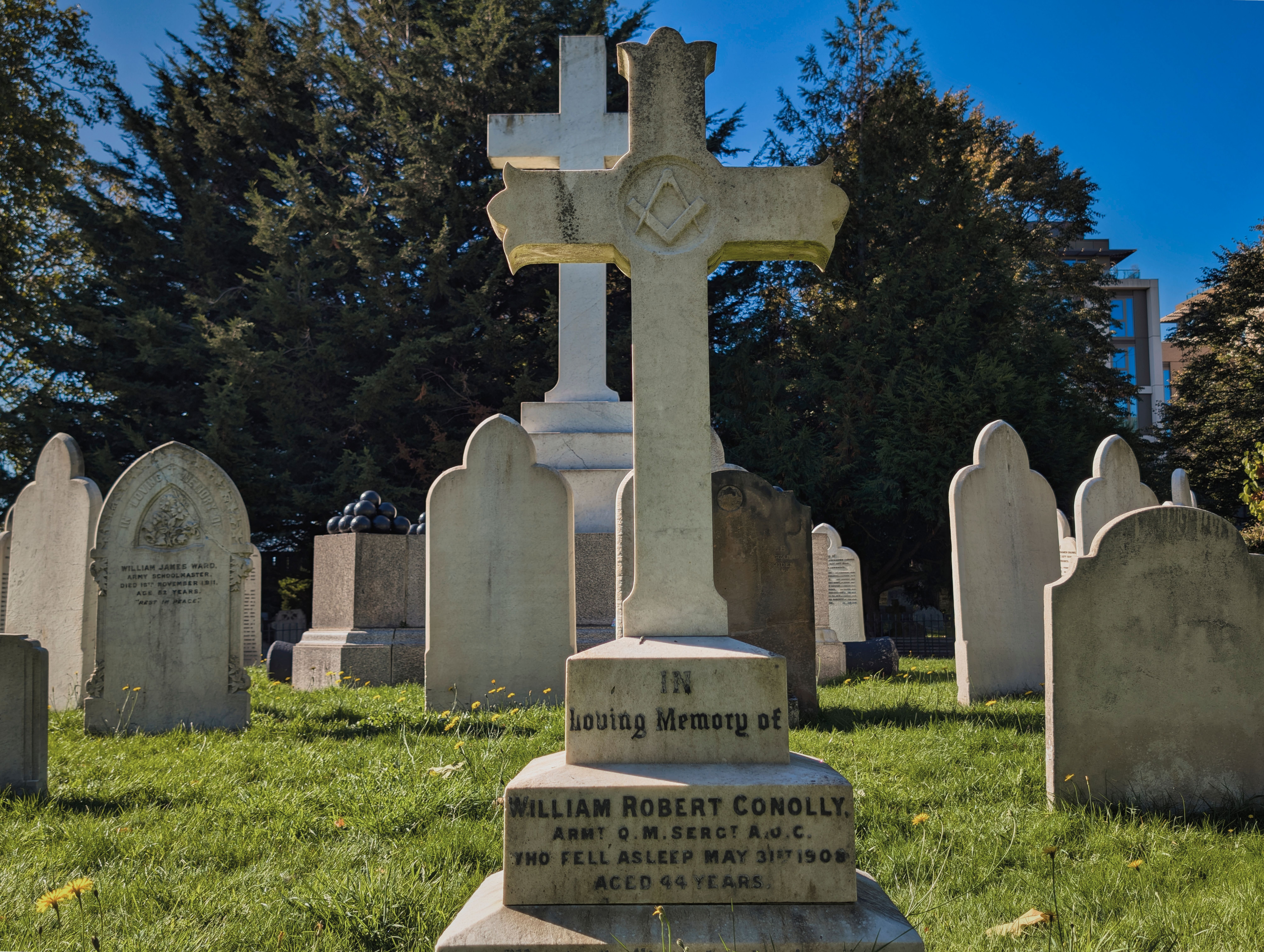 The Great Majority: When Cities Dug Up Their Dead to Teach Medicine