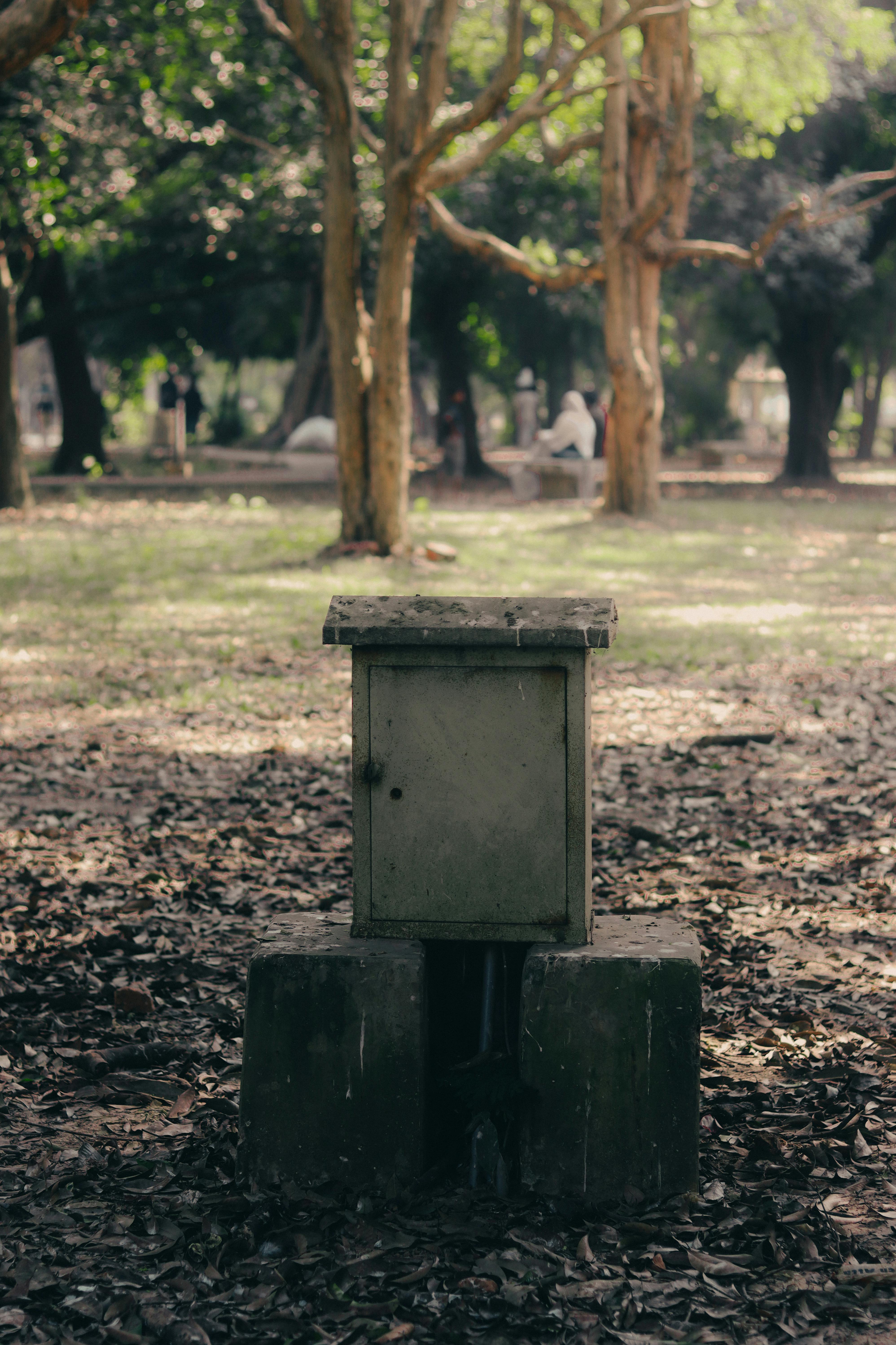 Gratuit O cutie electrică metalică rustică, amplasată într-un parc liniștit și împădurit, cu lumina soarelui care se filtrează printre copaci. Fotografie de stoc