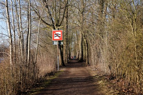 Free Enjoy a serene winter walk along a tree-lined path in Geesthacht, Germany. Stock Photo