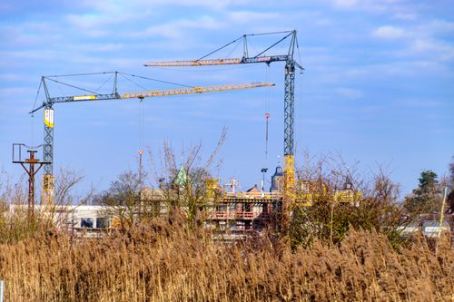 Free Cranes towering over construction in Coesfeld, Germany amidst reeds and a clear sky. Stock Photo