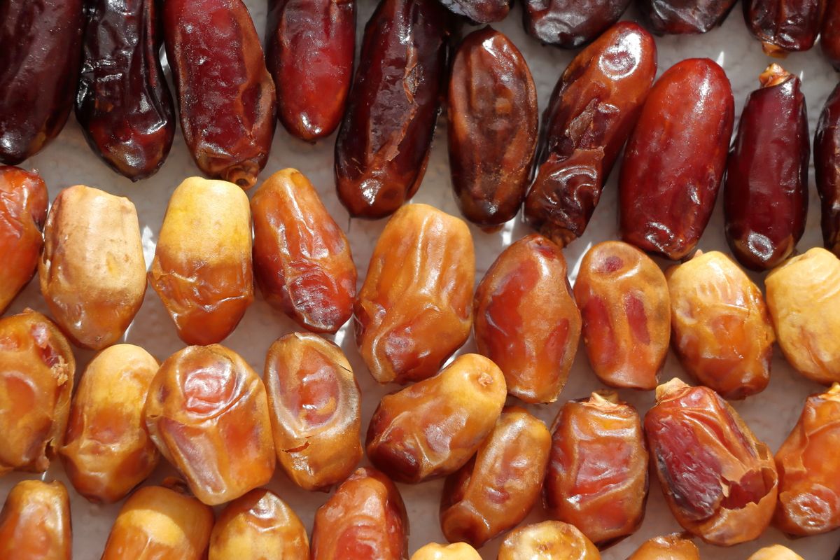 A neat assortment of dried dates, a compact real-food source of carbohydrate for long runs