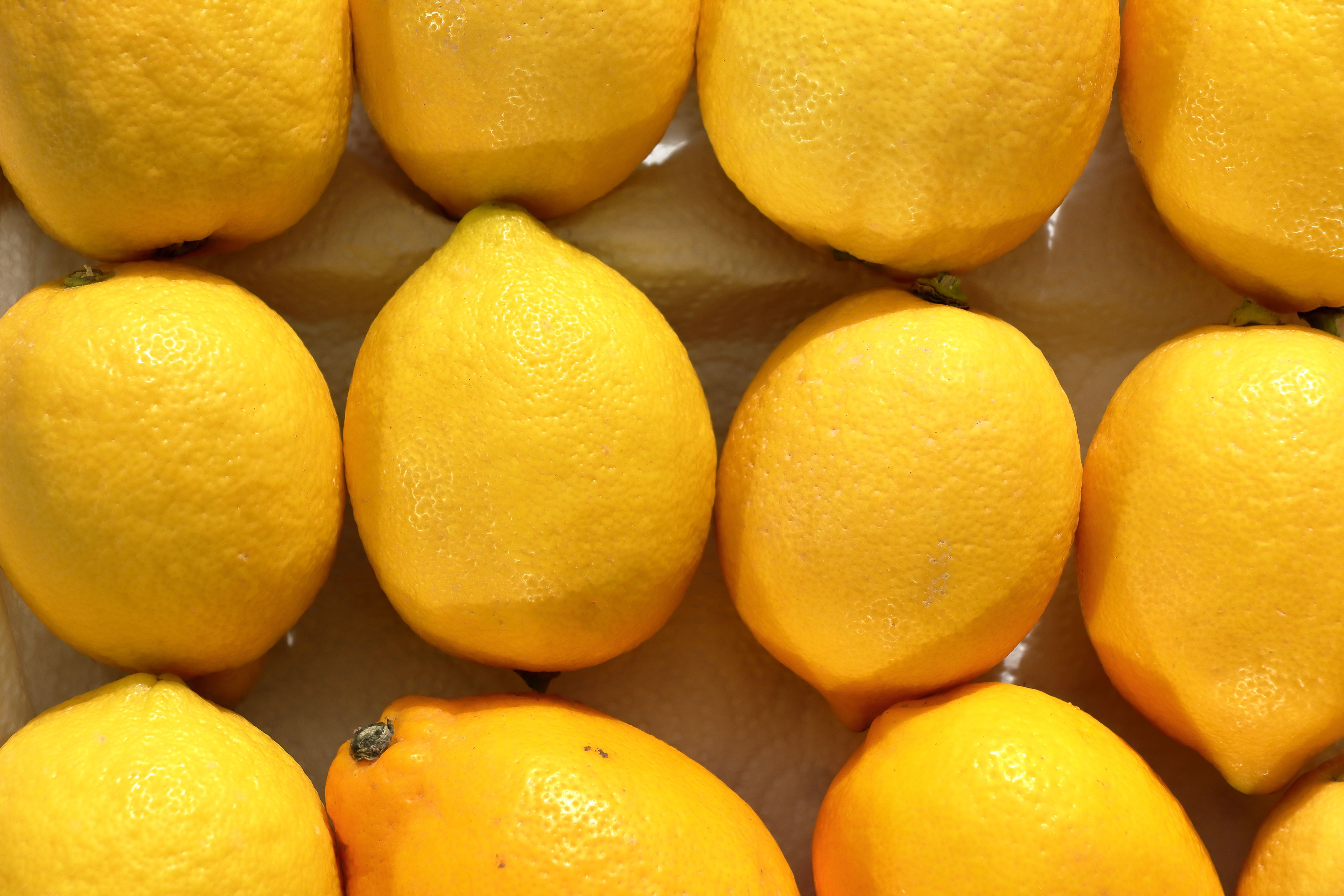Close-up of Fresh Lemons with Halved Centerpiece · Free Stock Photo