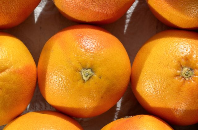 Fresh oranges in sunlight