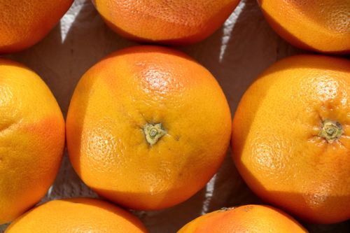 Free Vibrant oranges arranged in sunlight, highlighting their bright color and texture. Stock Photo