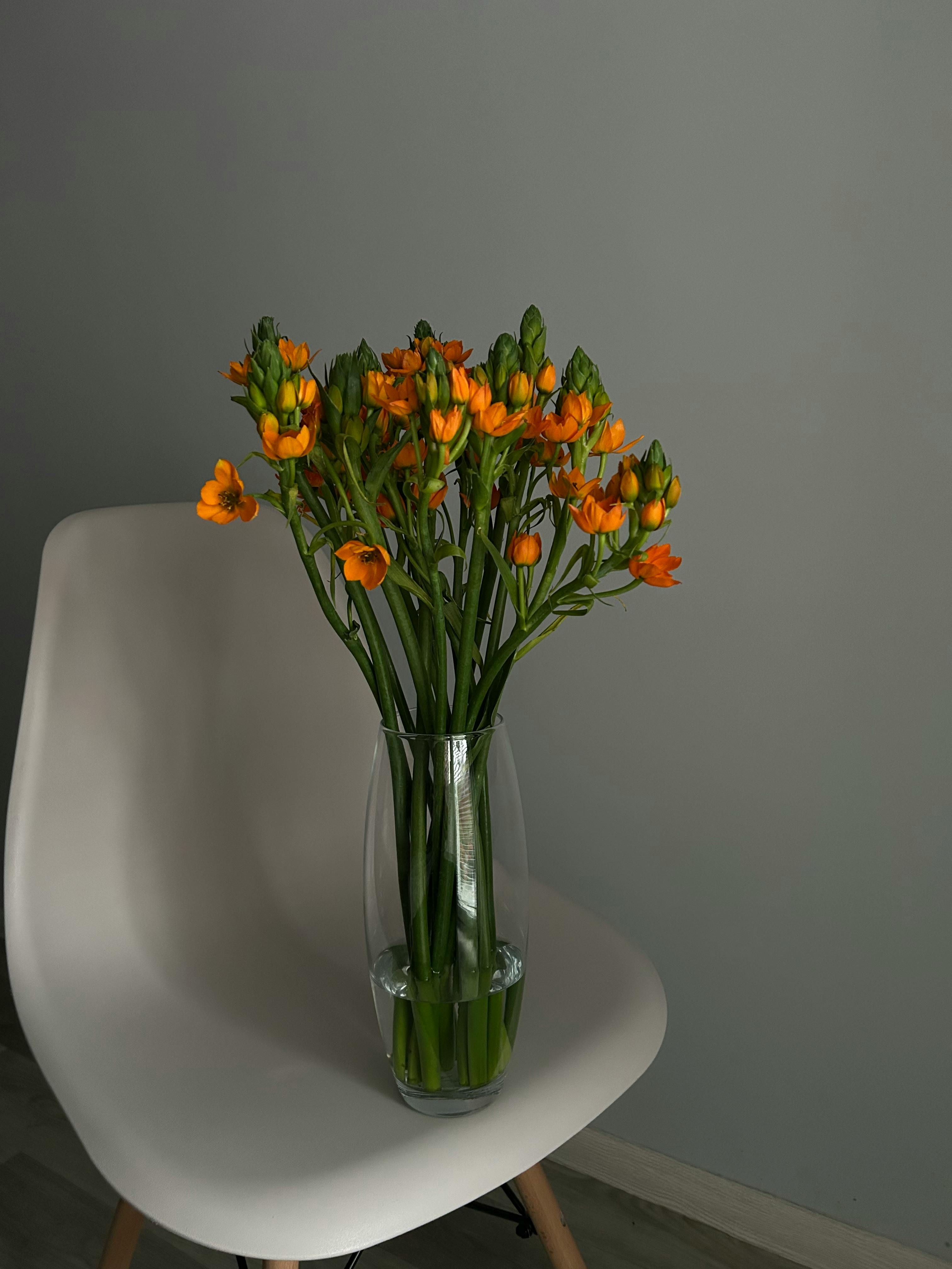 Miễn phí Bình hoa màu cam tuyệt đẹp được cắm trong chiếc bình thủy tinh đặt trên chiếc ghế trắng hiện đại. Ảnh lưu trữ