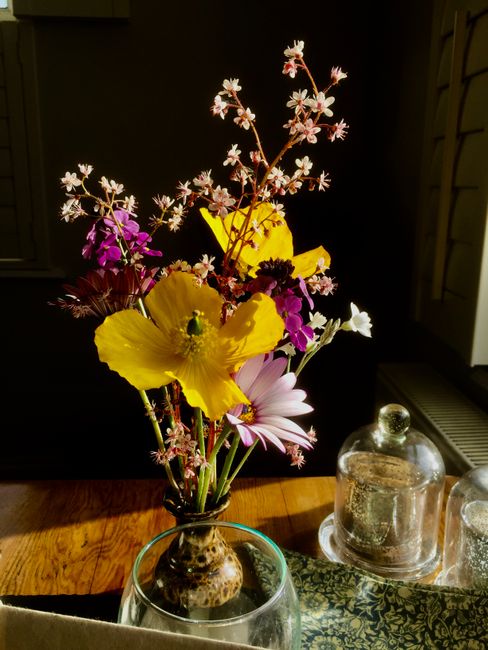 A colorful bouquet of flowers in a vase, illuminated by sunlight indoors.