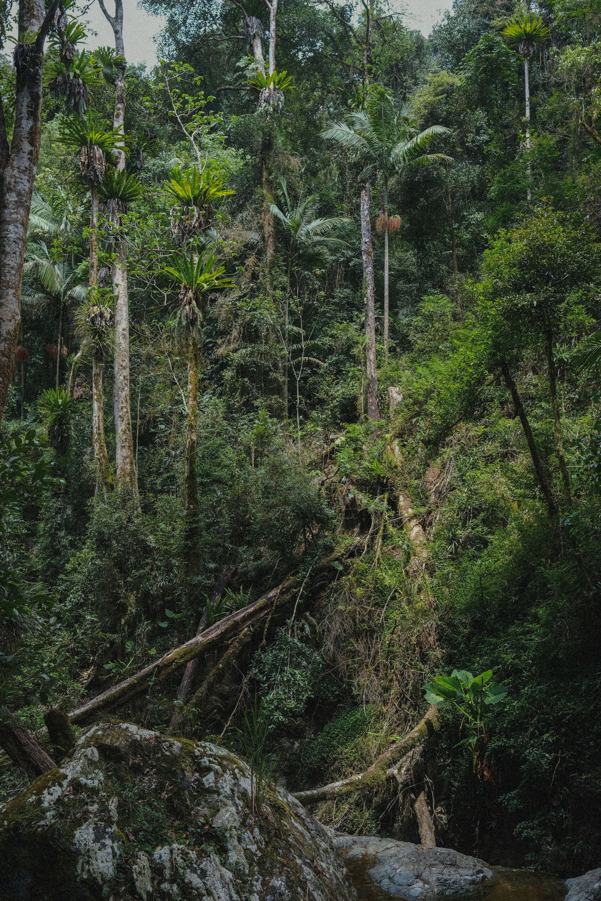 Eco-tourism