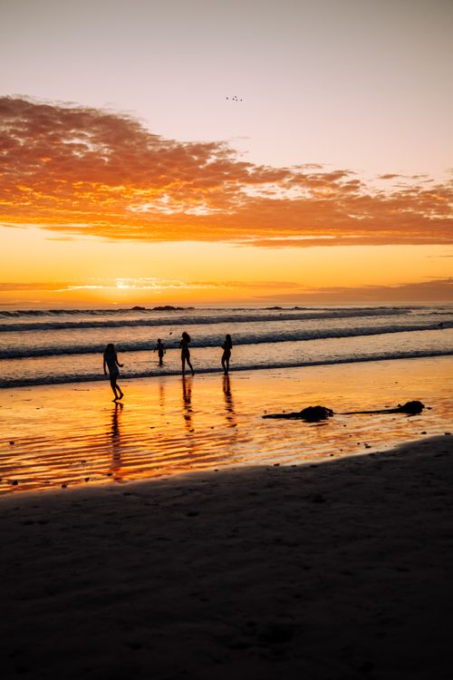 Free Silhouetted figures enjoy a serene sunset on Cape Town's beach. Vibrant sky and calm waves create a peaceful scene. Stock Photo