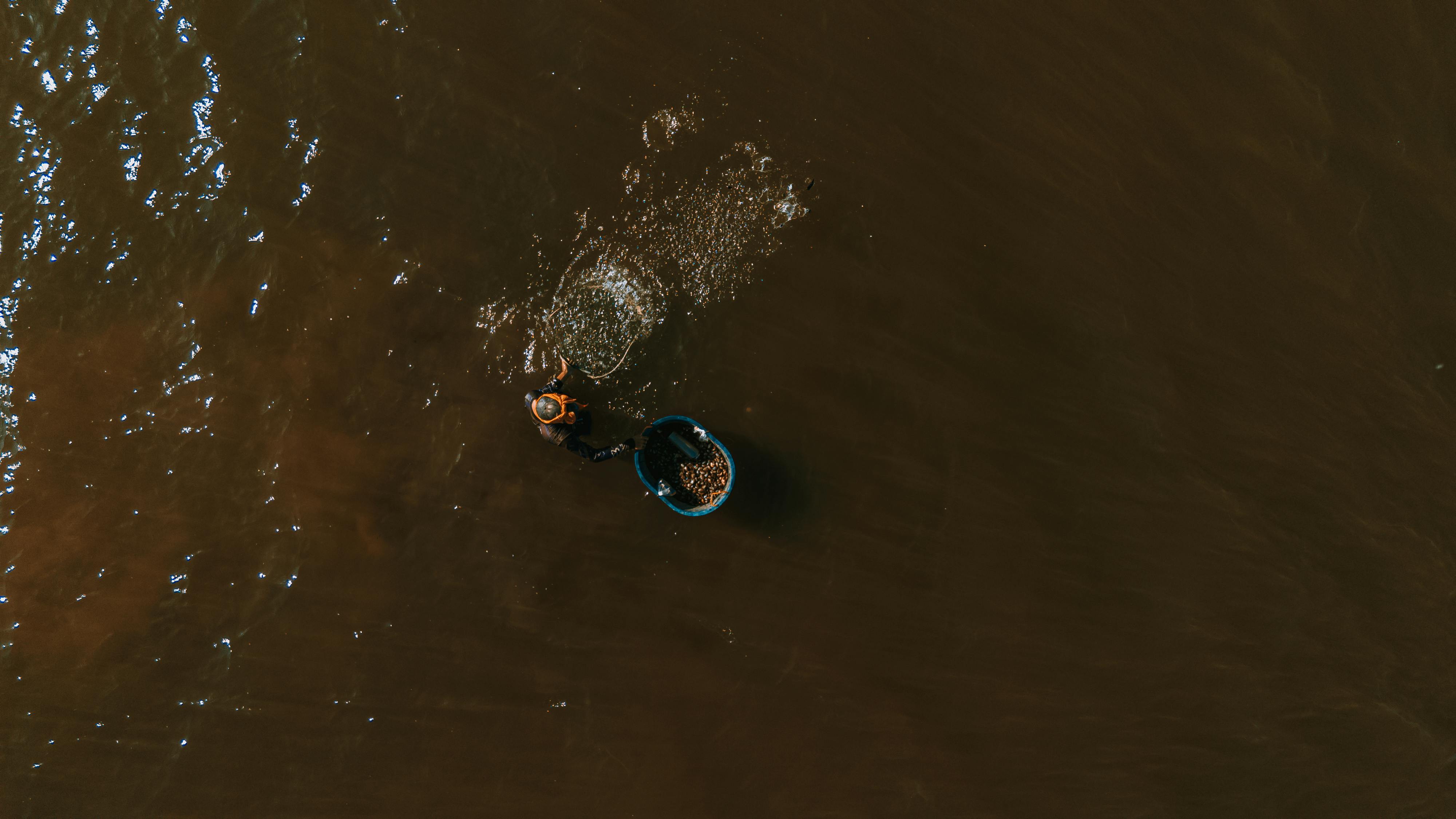 Ingyenes stockfotó a tenger felett, aktivitás, aratás témában Stockfotó