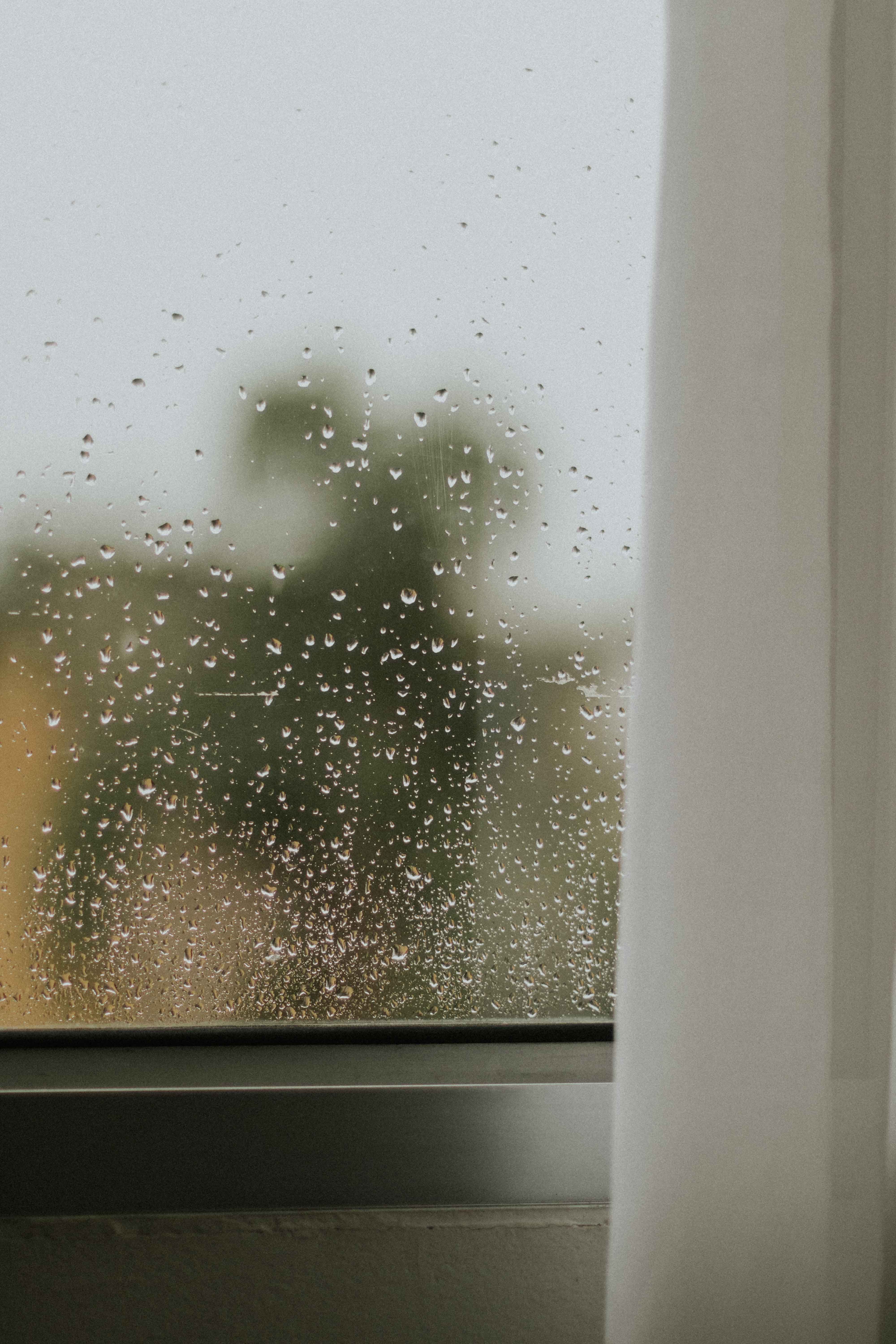 Blurry Home Window Photos, Download The BEST Free Blurry Home Window ...