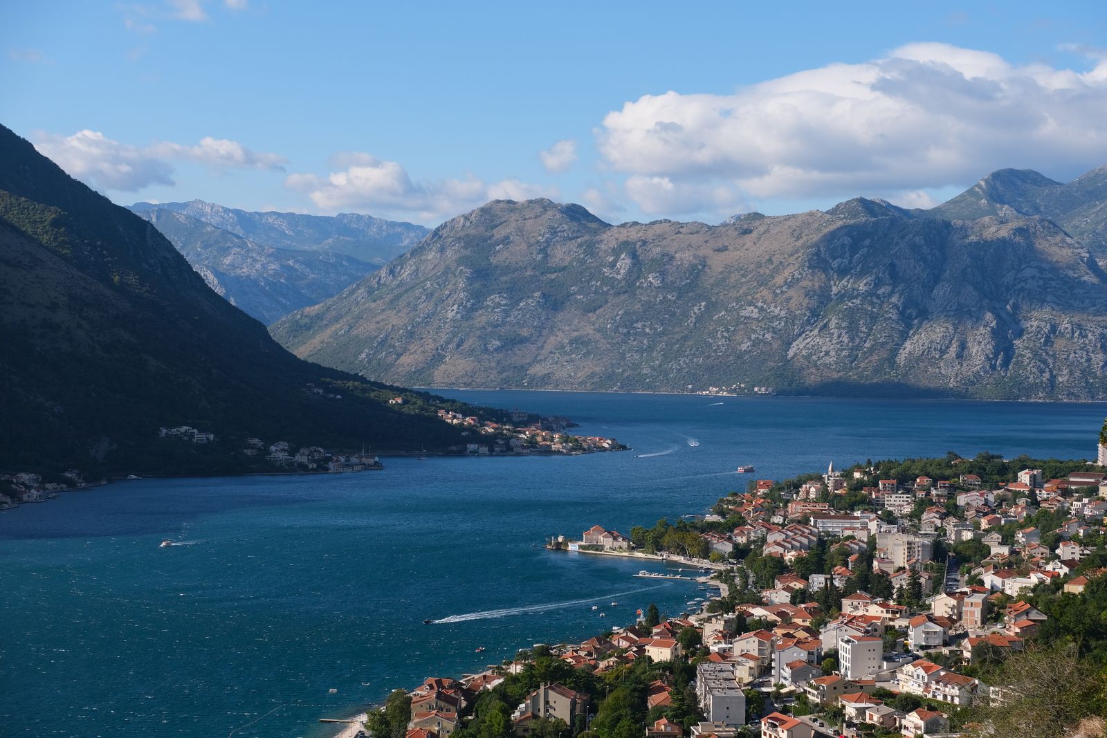 Scenic panorama of Kotor Bay with cruise ships