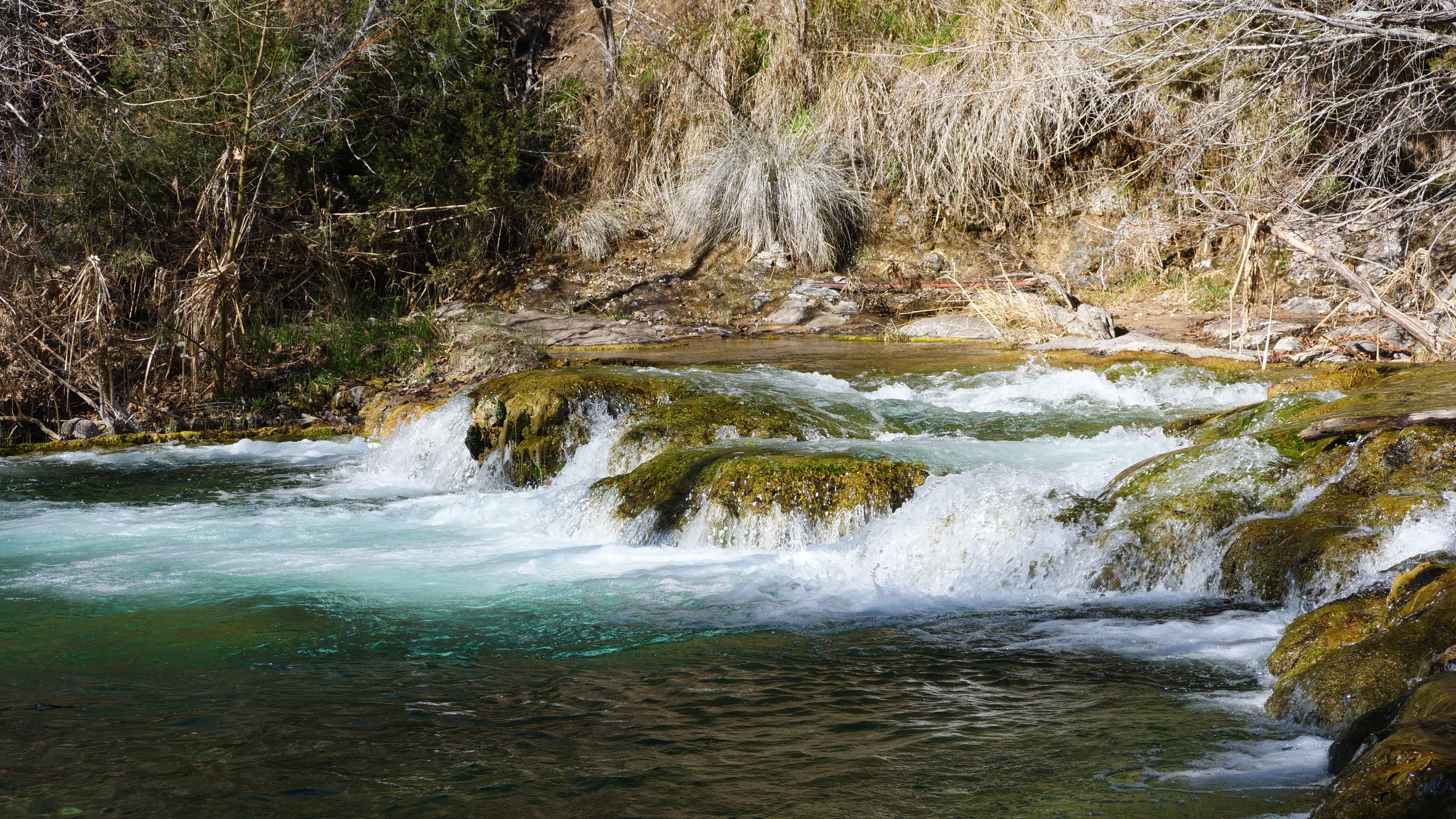 Turquoise Havasu Creek winding between travertine and cottonwoods