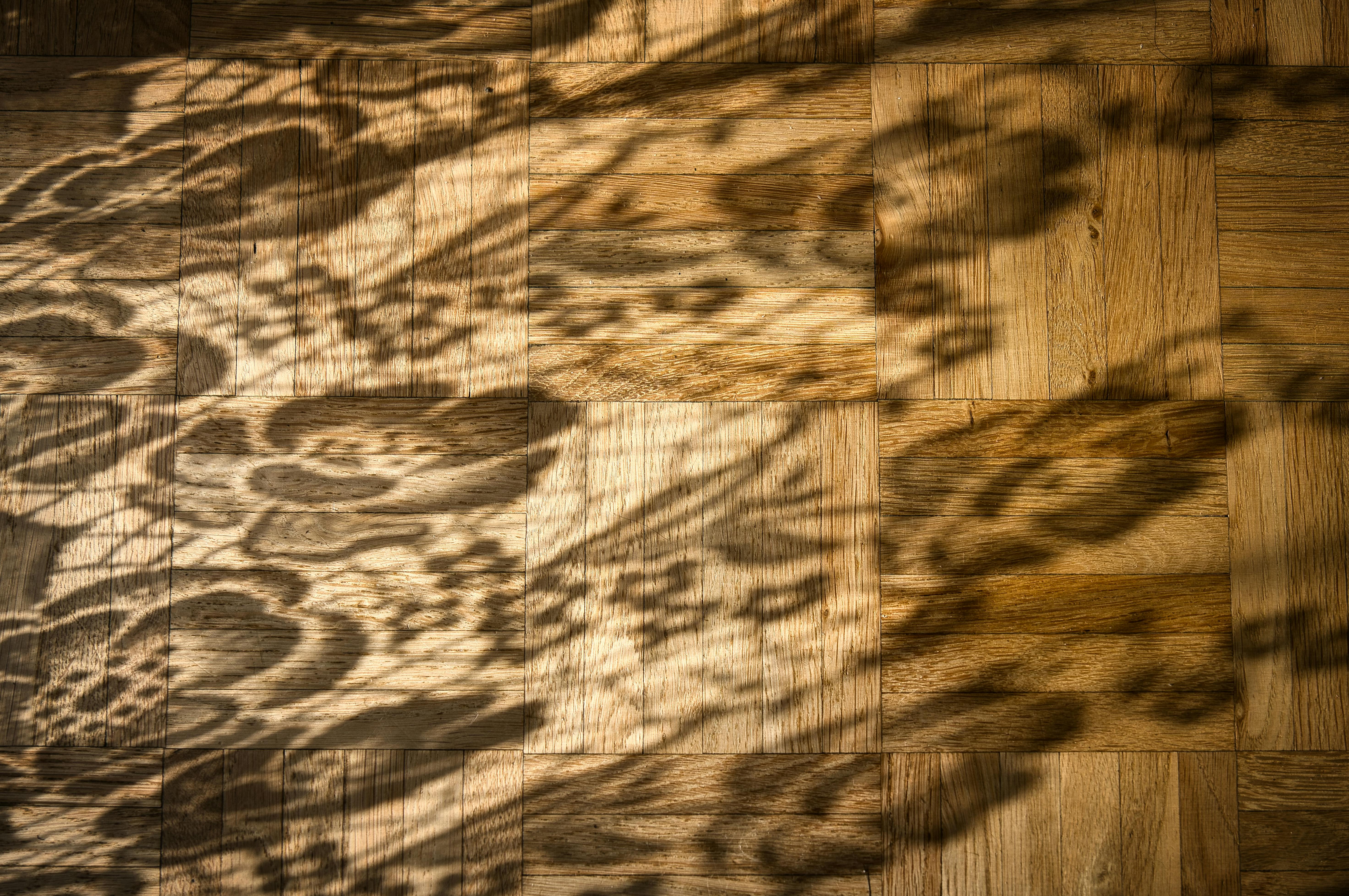 Gratuit Les ombres artistiques des plantes sur un parquet en bois créent une ambiance naturelle et chaleureuse. Photos