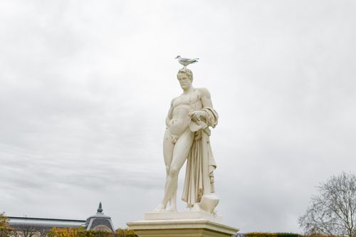 Free Elegant marble statue topped with a seagull in a serene Parisian park setting. Stock Photo