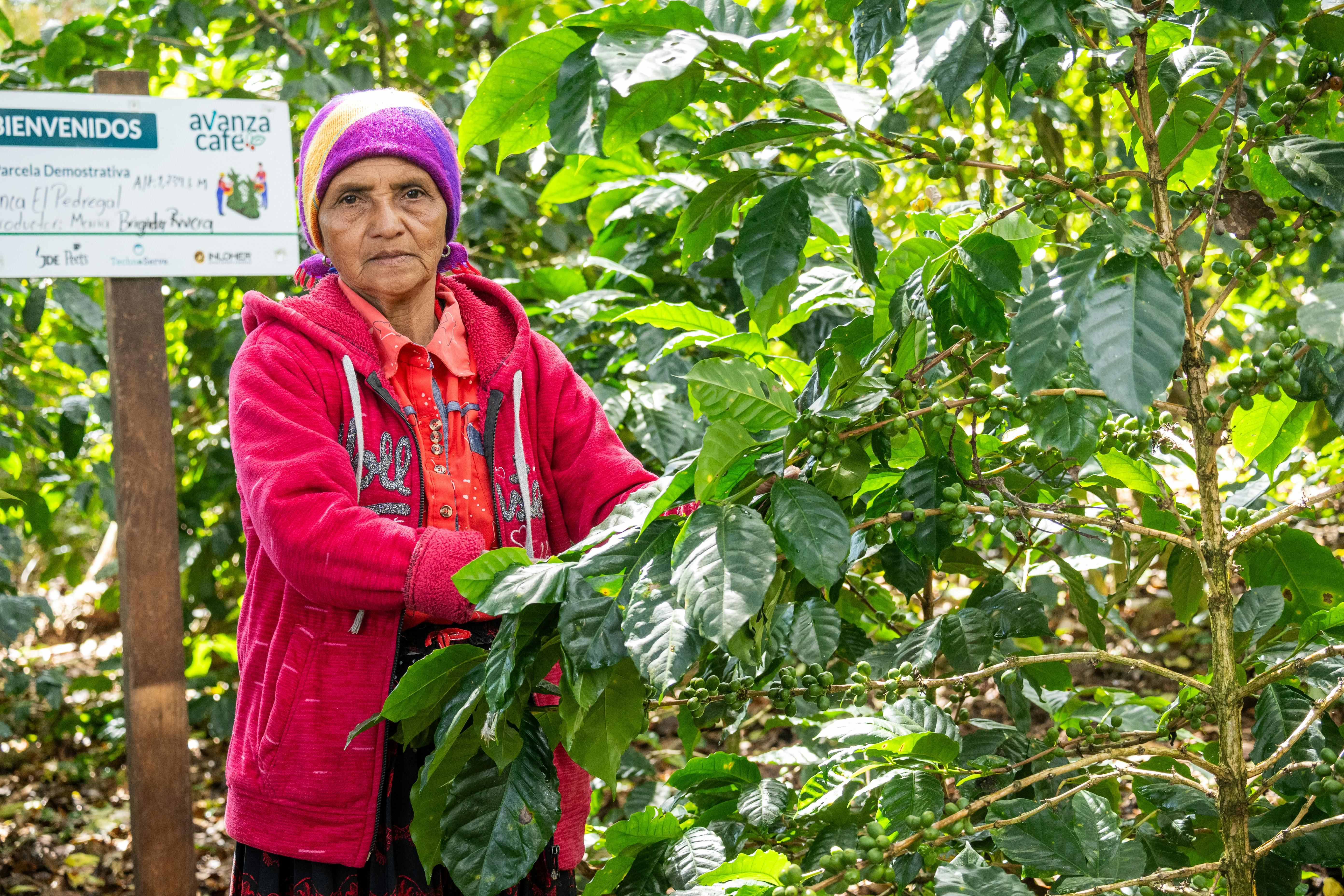 Specialty Nutrition Names Alejandra Gratson Managing — Photo by Irvin David on Pexels