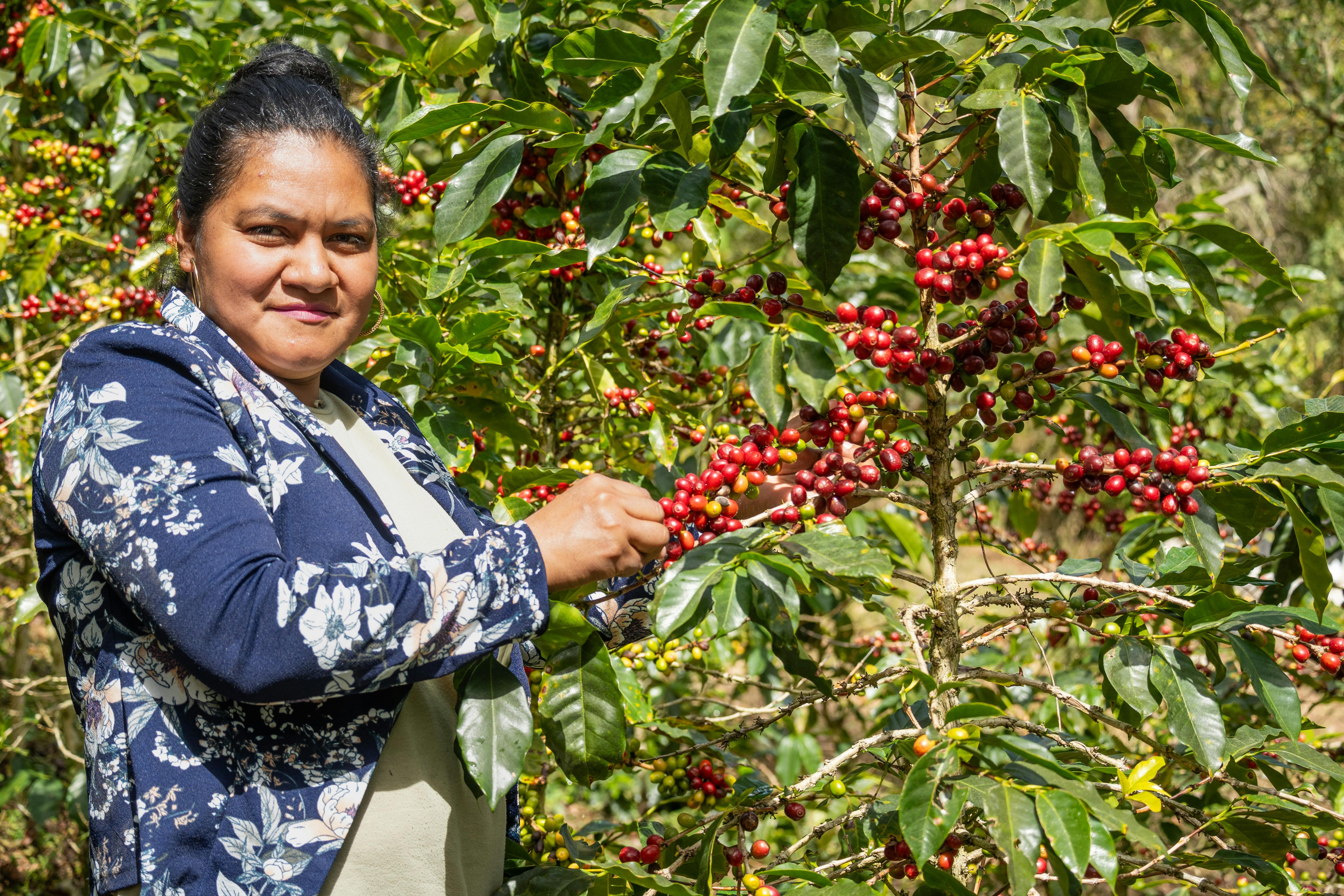 Specialty Nutrition Names Alejandra Gratson Managing — Photo by Irvin David on Pexels