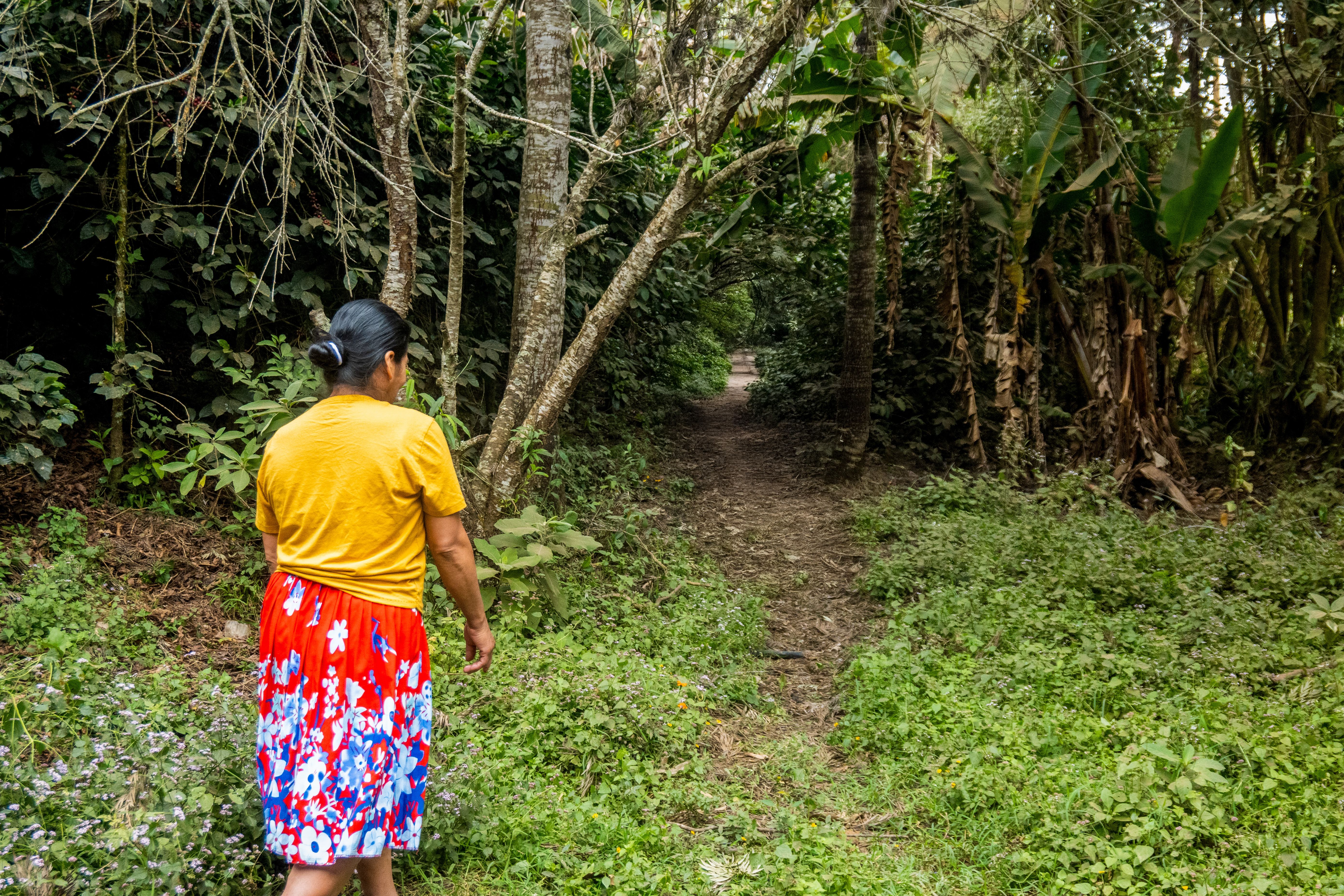 Woman Walking in Lush Forest Pathway · Free Stock Photo
