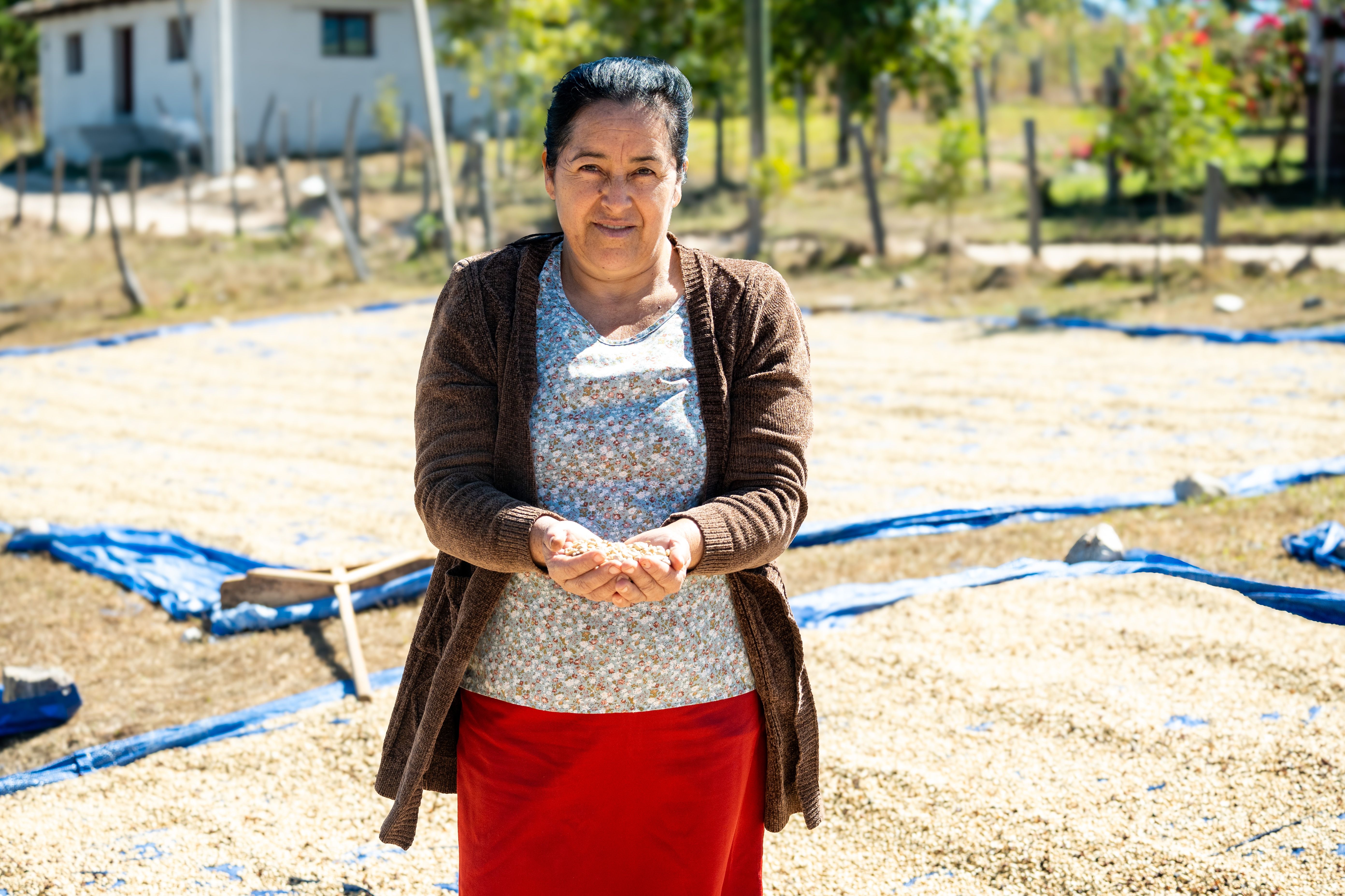 Mulheres rurais destacam liderança e inovação no agronegócio em data comemorativa