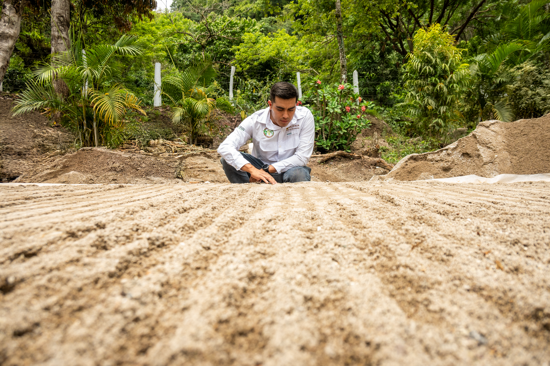 Man in a garden inspecting soil with precision, surrounded by lush greenery.