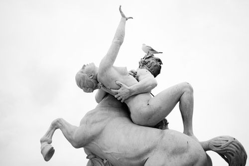 Free Stunning black and white photo of a marble sculpture featuring a seagull perched gracefully. Stock Photo
