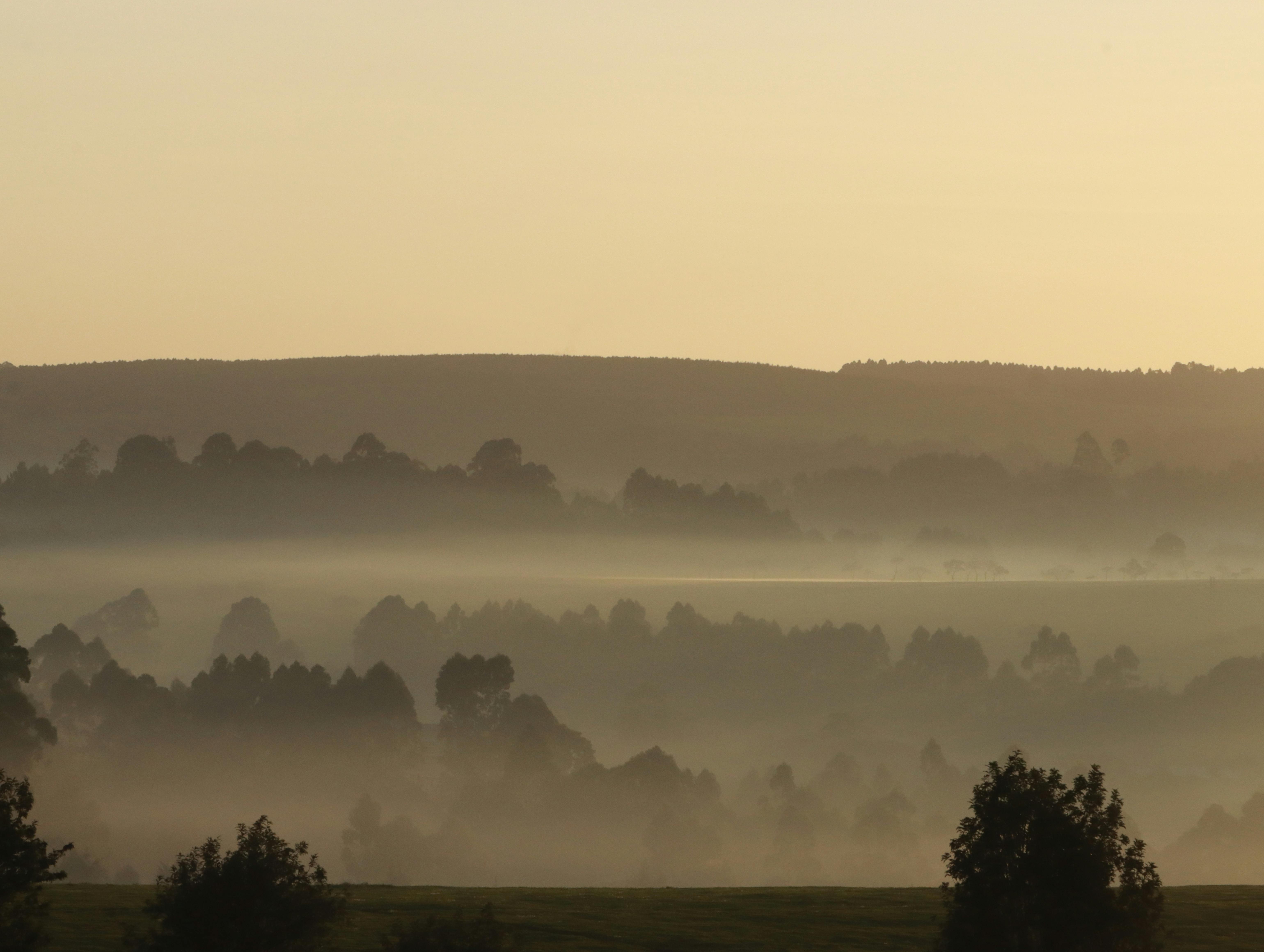 JUST IN: EX-Super Eagles star, Henry Nwosu, is dead
