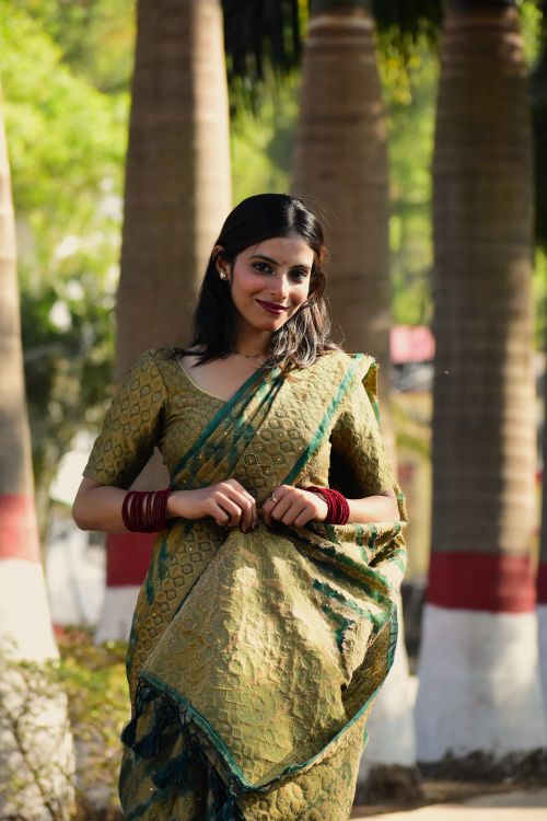 Young Woman in Traditional Indian Saree Outdoors · Free Stock Photo
