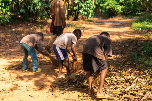 Young boys sweeping leaves on a rural path, engaging in communal cleaning outdoors.