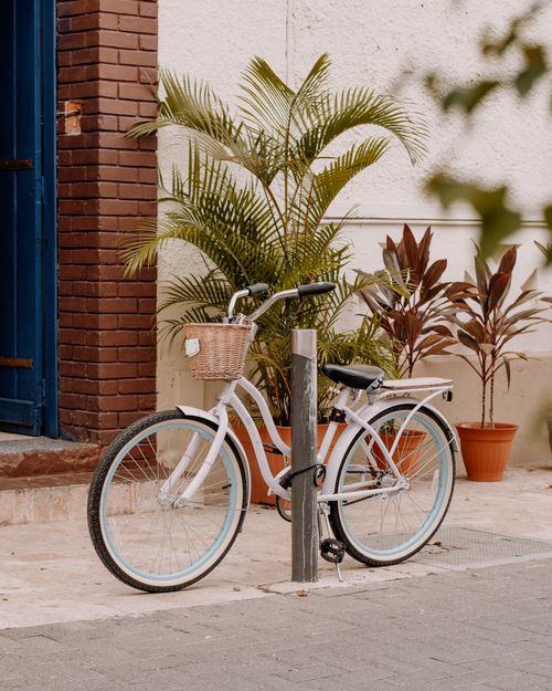 Free A white bicycle with a basket parked next to a blue door adorned by potted plants. Ideal urban lifestyle image. Stock Photo