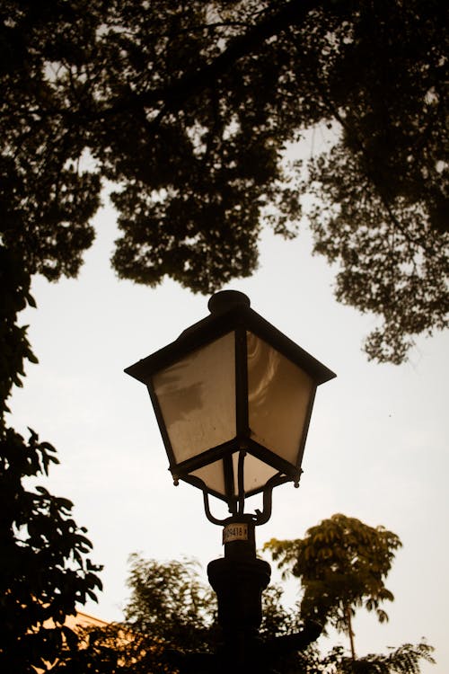 Black Street Lamp Near Green Trees