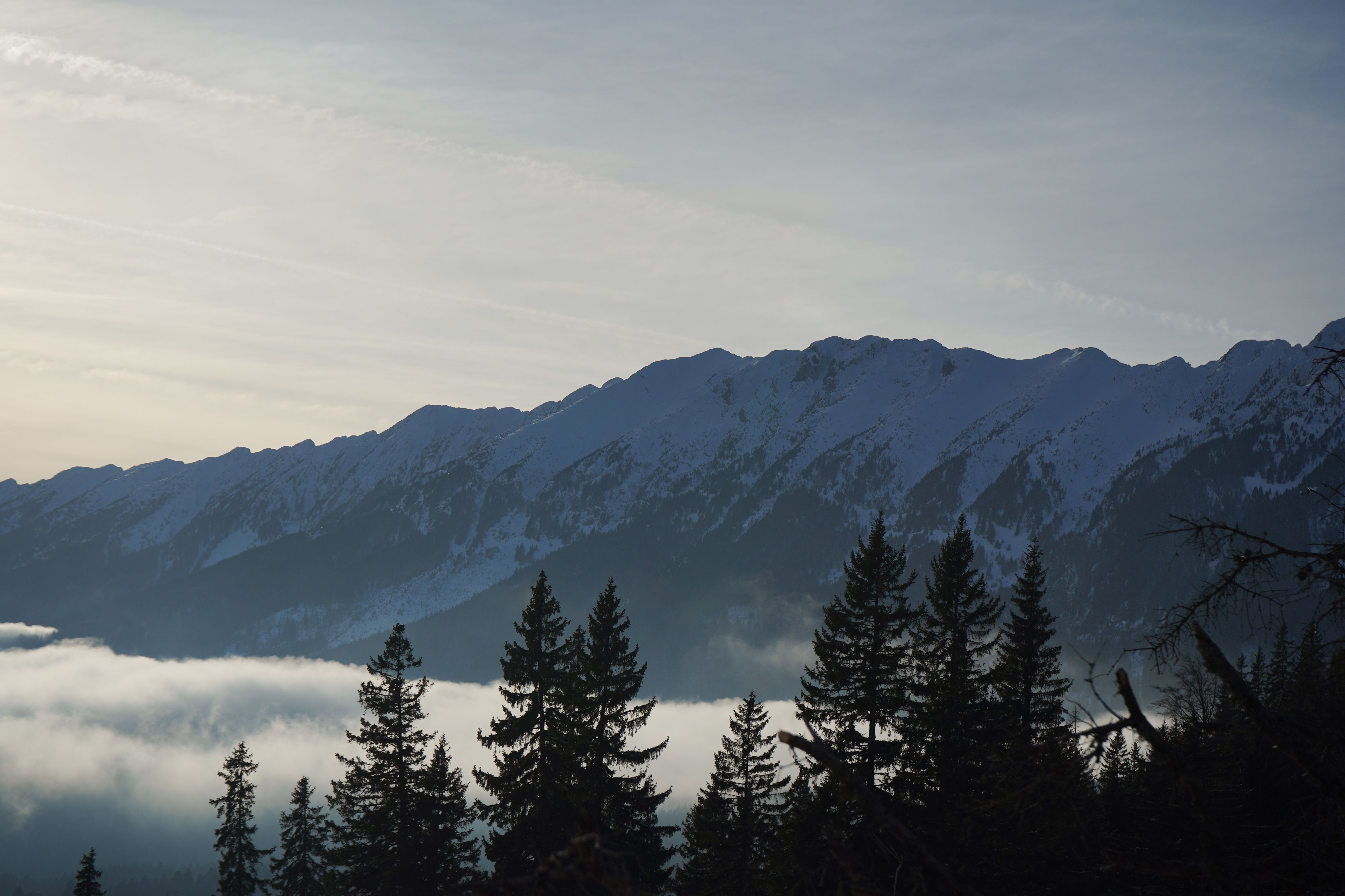 Serene Snowy Mountain Landscape with Pines · Free Stock Photo