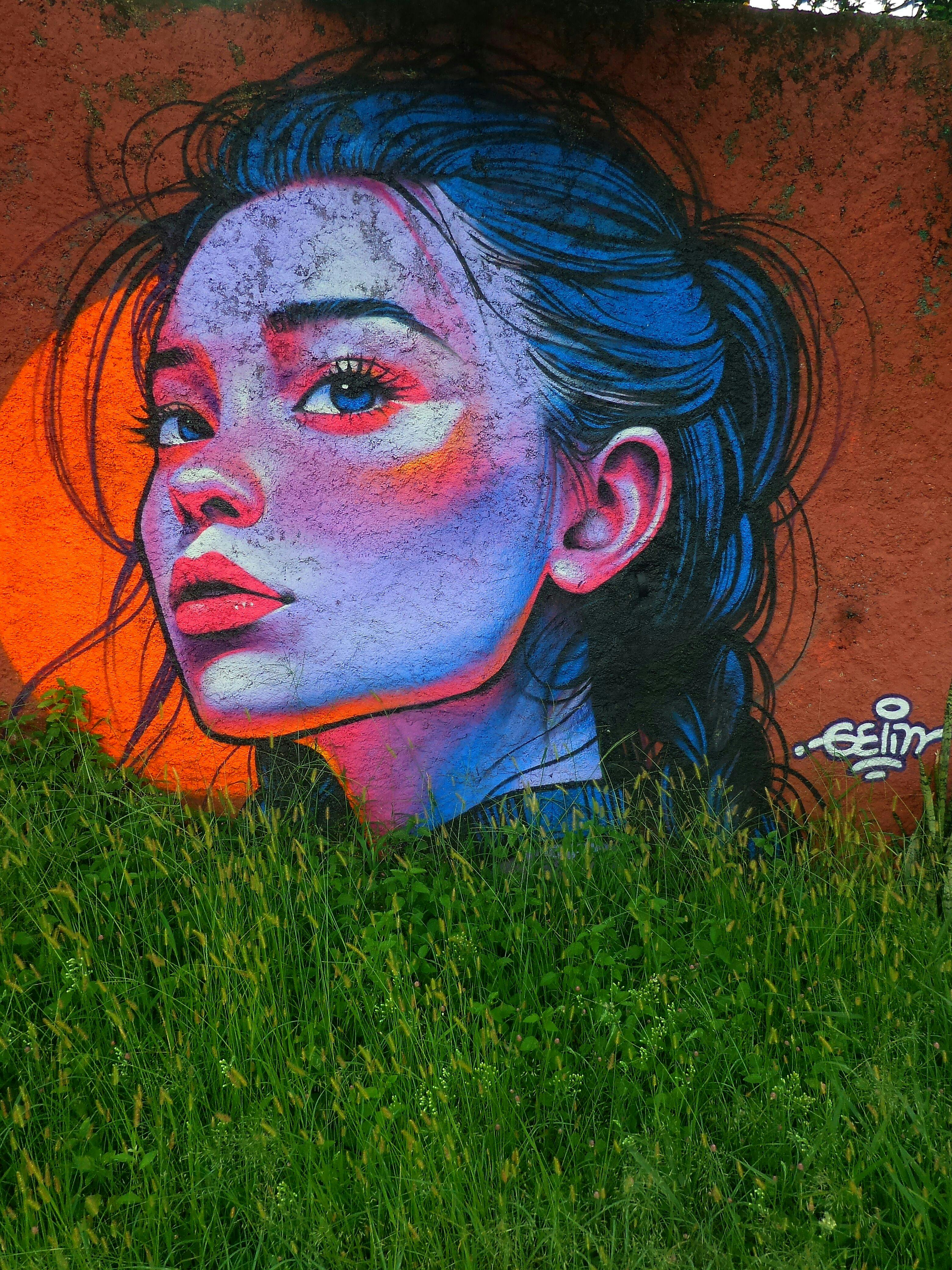 Colorful street art mural depicting a woman's face with bold colors and lush grass foreground.