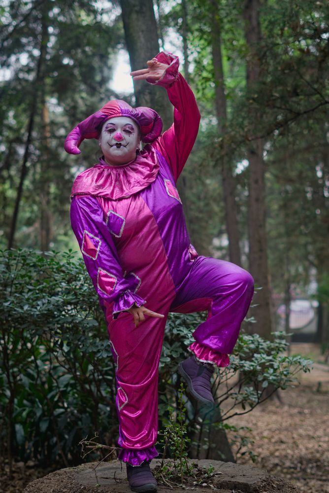 Buffoon Photos, Download The BEST Free Buffoon Stock Photos & HD Images