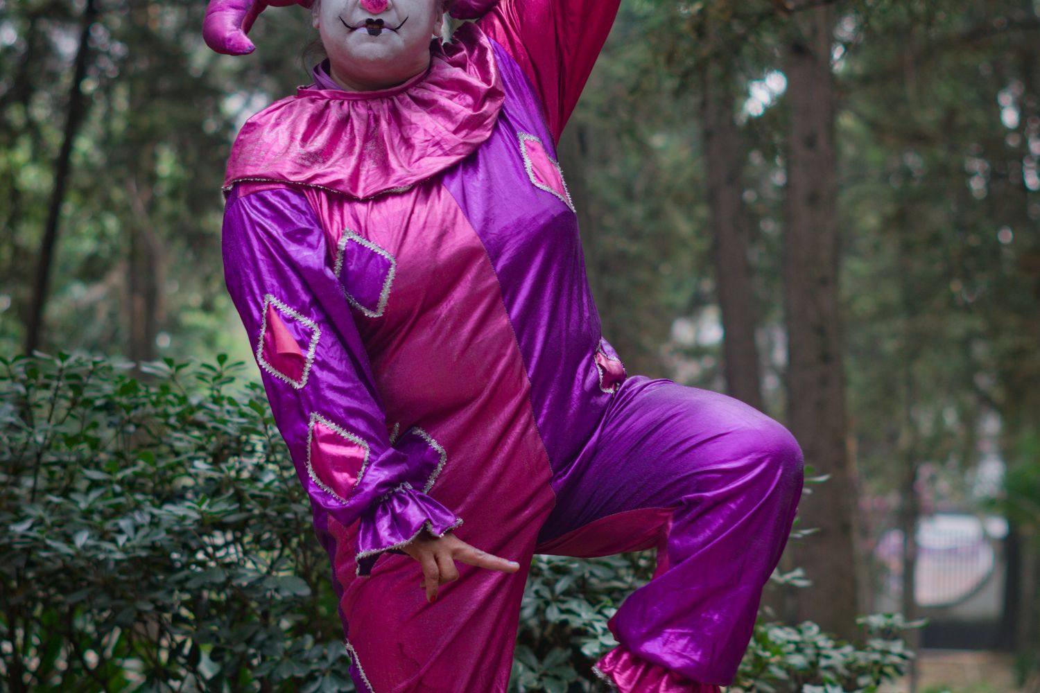 Real Buffoon Buffoon Photos, Download The BEST Free Buffoon Stock Photos & HD Images