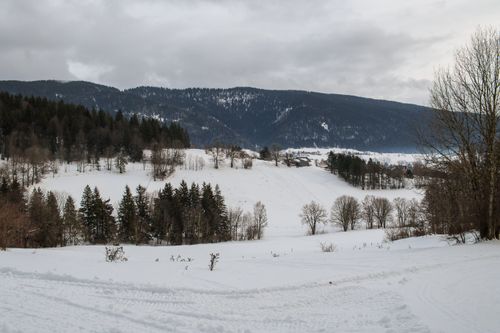 Free Serene snow-covered landscape with distant forests and mountains in Autrans-Méaudre-en-Vercors, France. Stock Photo