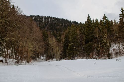 Free Winter landscape of a snowy forest in Autrans-Méaudre-en-Vercors, France. Stock Photo