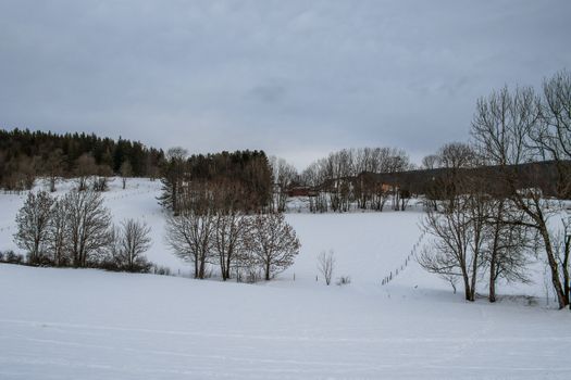 Bellevigne-en-Layon