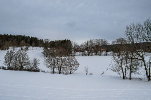 Free Serene winter landscape with snow-covered fields in Autrans-Méaudre-en-Vercors, France. Stock Photo