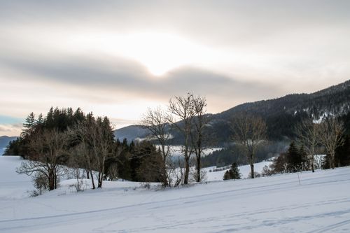 Free Snow-covered hills and trees under a soft, cloudy sky in Autrans, France. Stock Photo