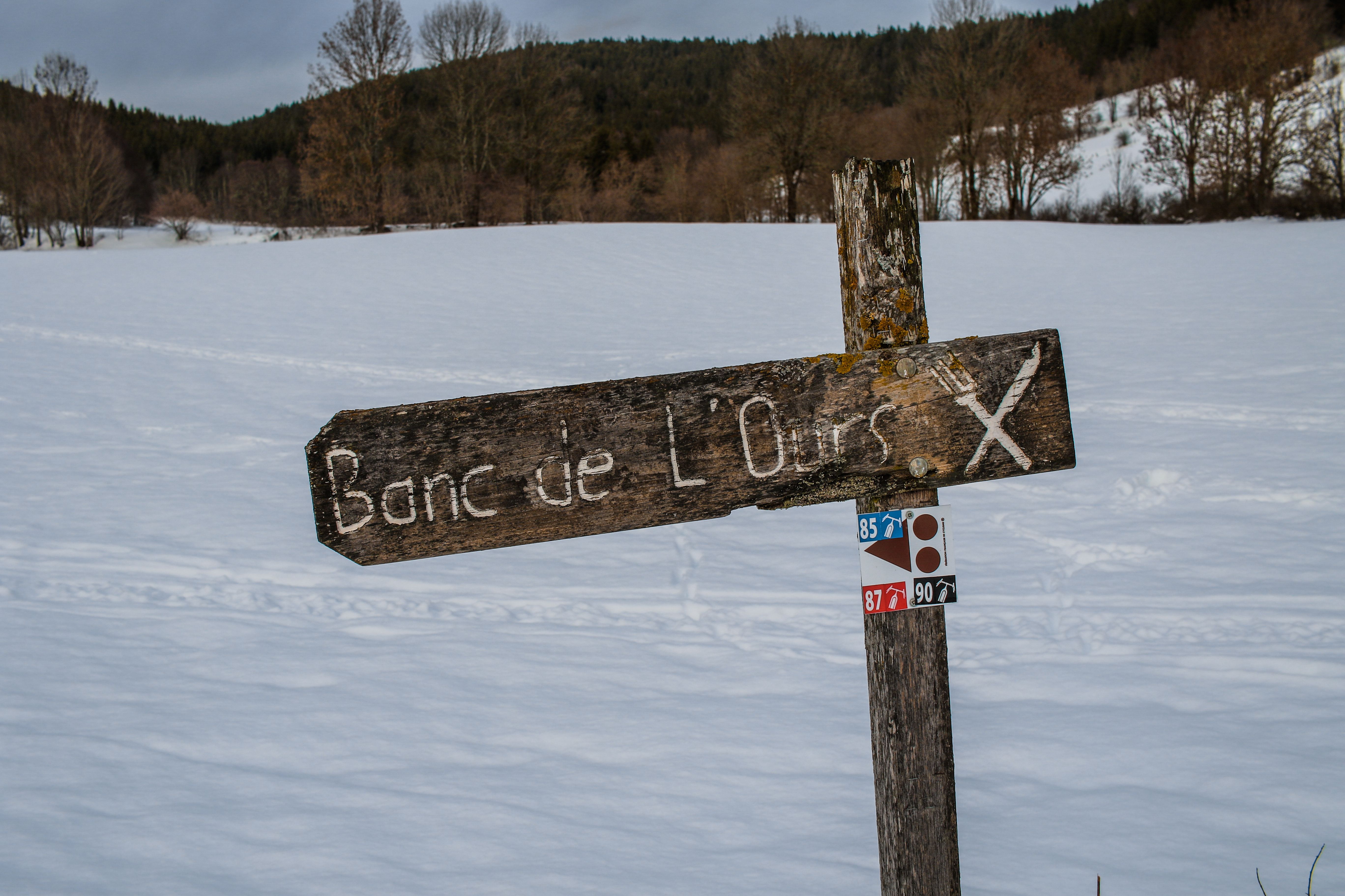 wooden signpost crossroads forest path