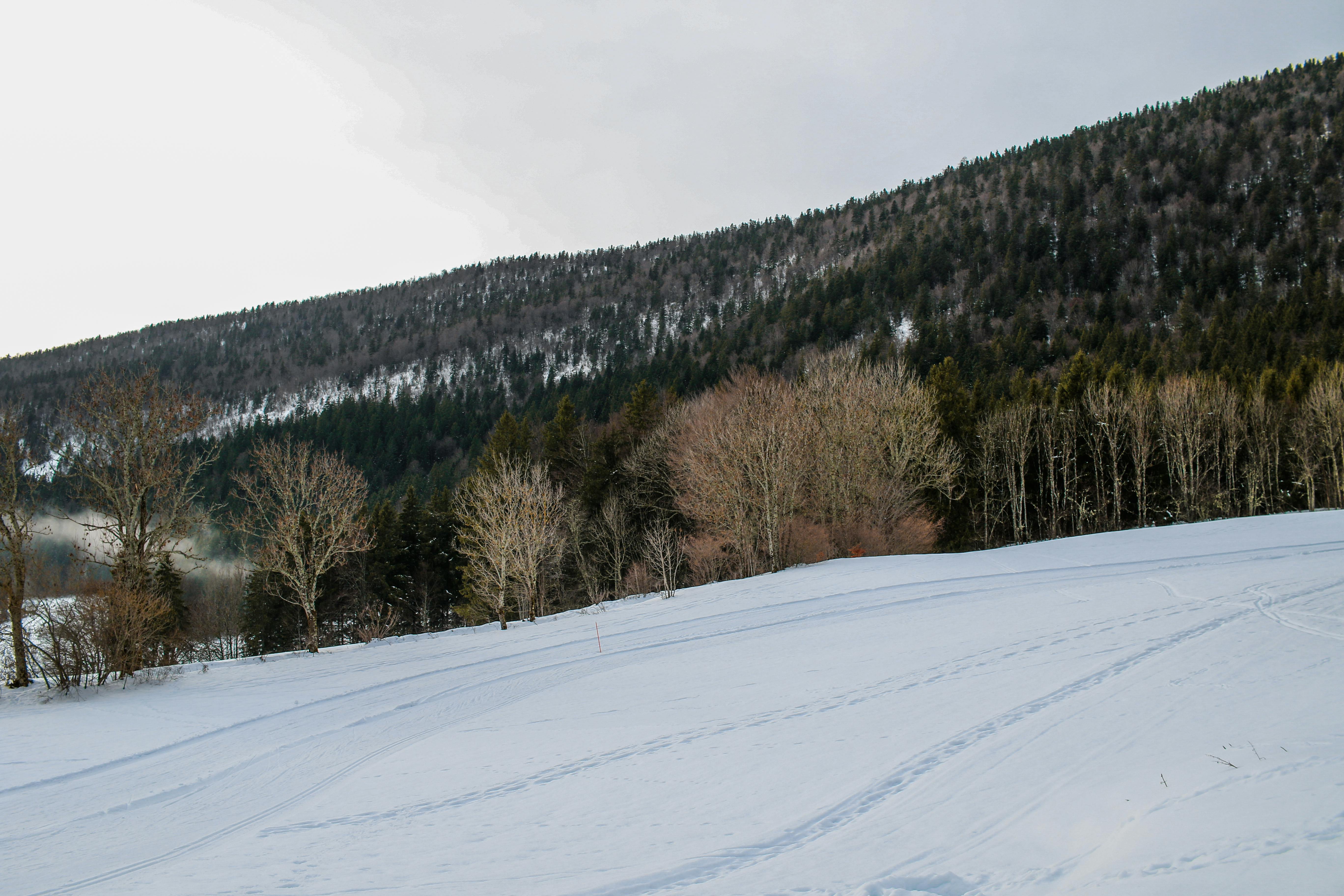 Paysage du Vercors en hiver