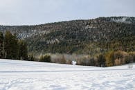 Snowy Forest Scene in Autrans-Méaudre-en-Vercors