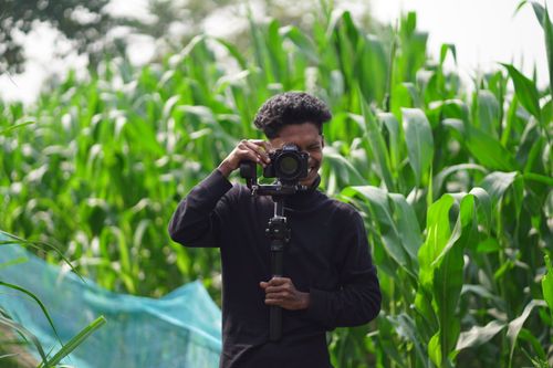 Free Man photographing in a vibrant cornfield, capturing outdoor scenery. Stock Photo