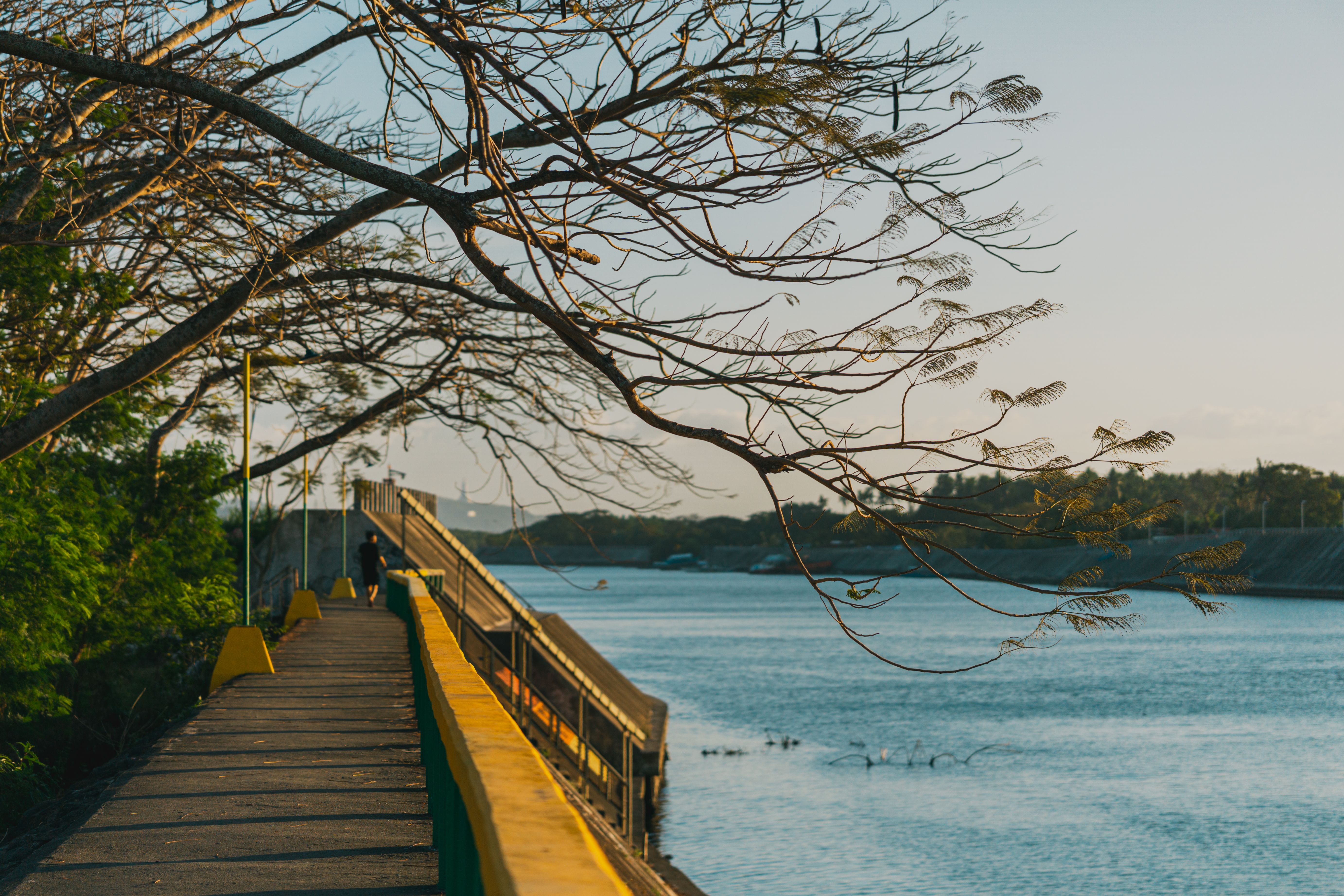 Scenic Riverside Walkway at Sunset · Free Stock Photo