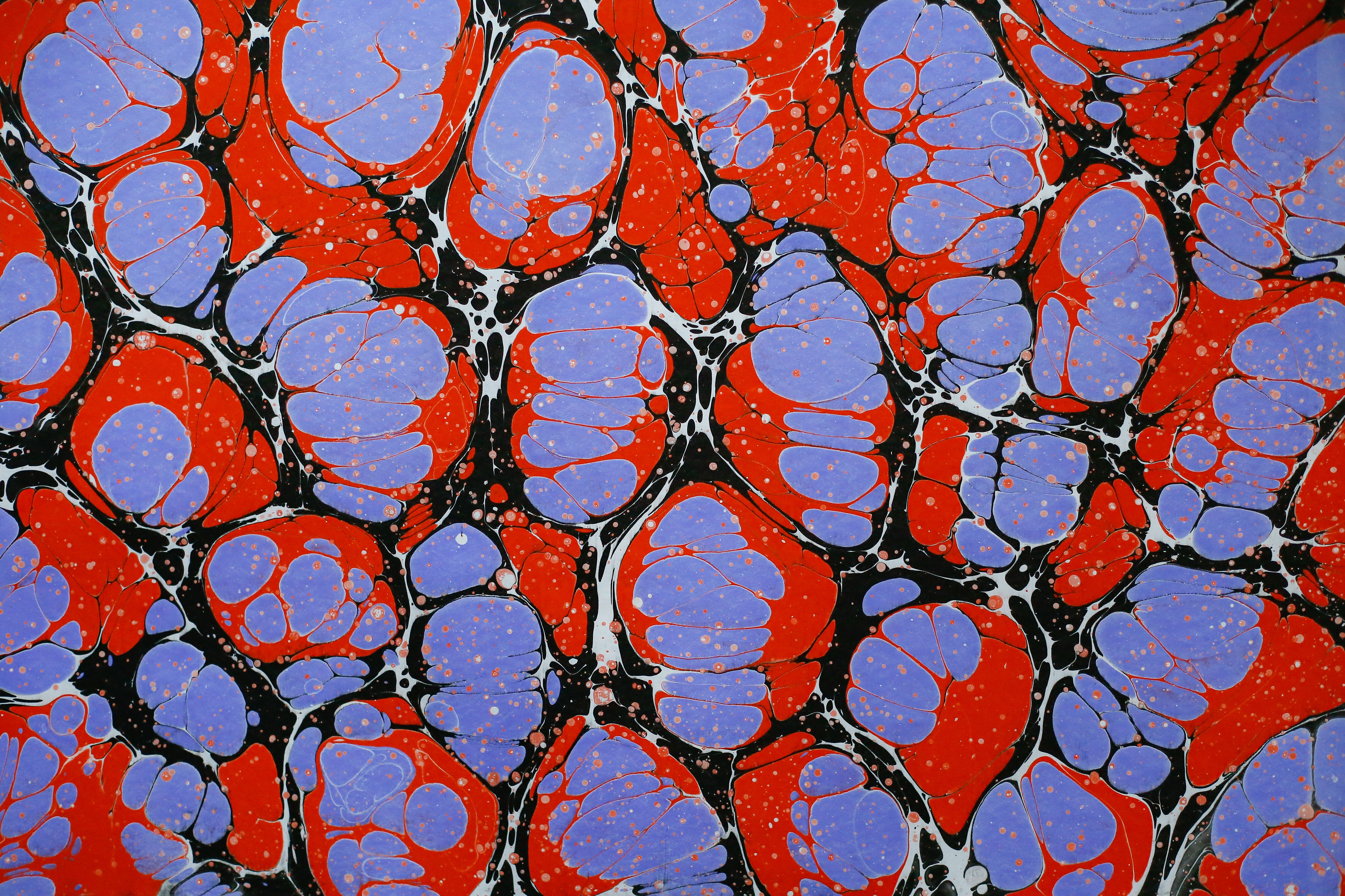 Colorful Marbled Abstract Patterns in Vibrant Red and Blue · Free Stock ...