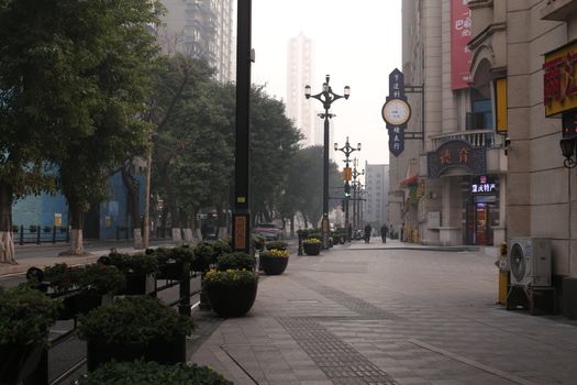 Tree-lined city street at dawn with minimal traffic and soft lighting, creating a tranquil urban atmosphere.